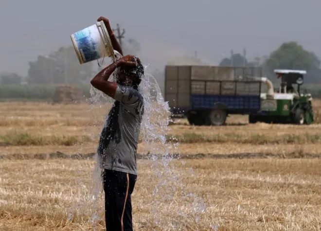 INDIA_WHEAT_HEATWAVE