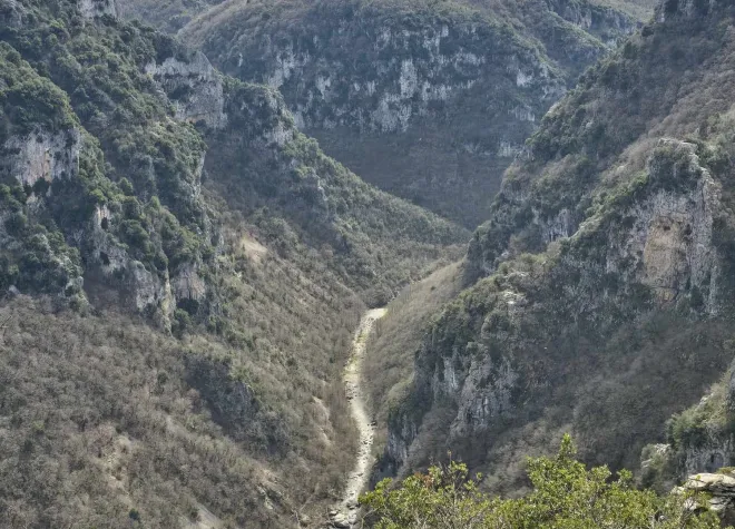 vikos