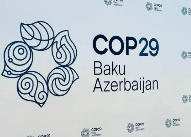 COP29