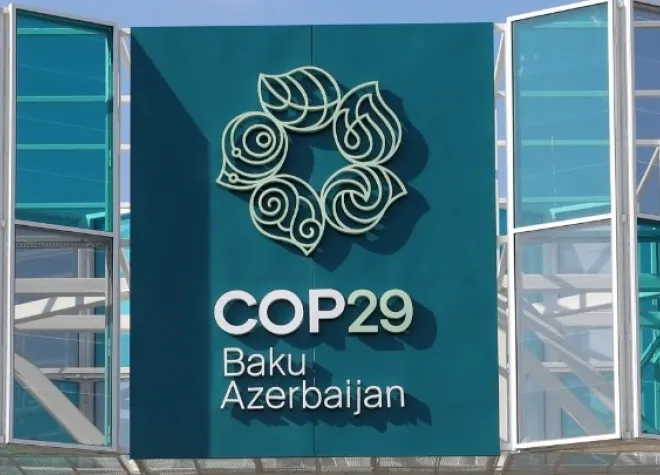 COP29