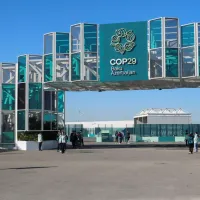 COP29