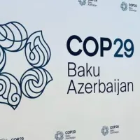 COP29