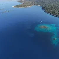 λιβάδια Ποσειδωνίας