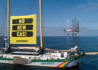 ©Greenpeace 